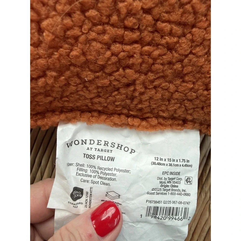 Target Wonderland Gingerbread House Pillow 14
